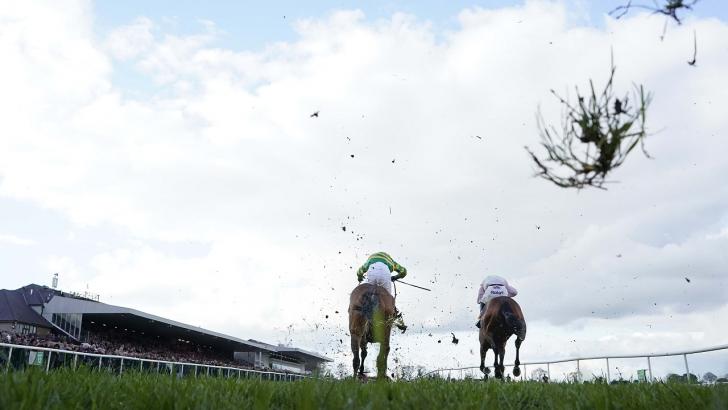 Horses on the run-in at Punchestown